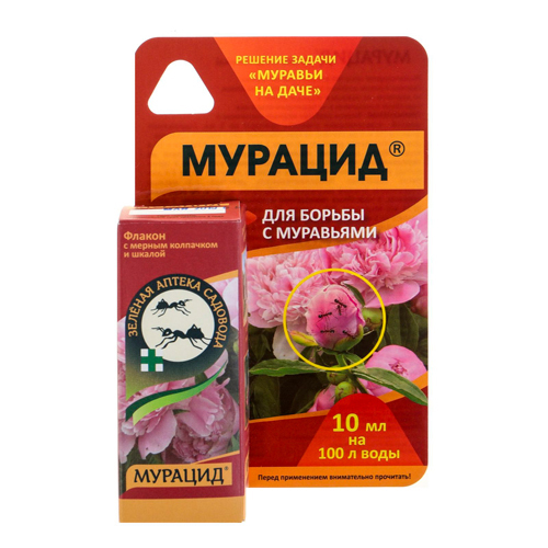 Изображение товара